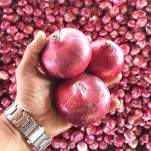Onion