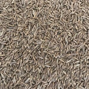 Cumin Seeds (Jeera)