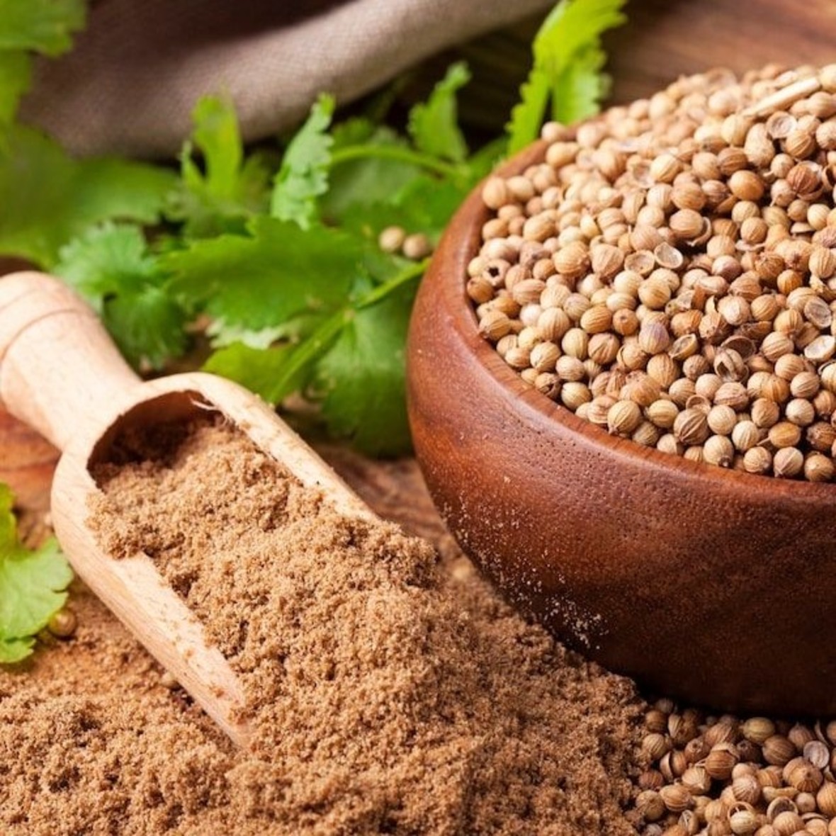 Coriander Powder