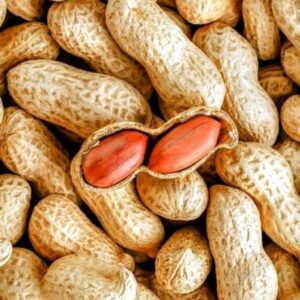 Peanuts