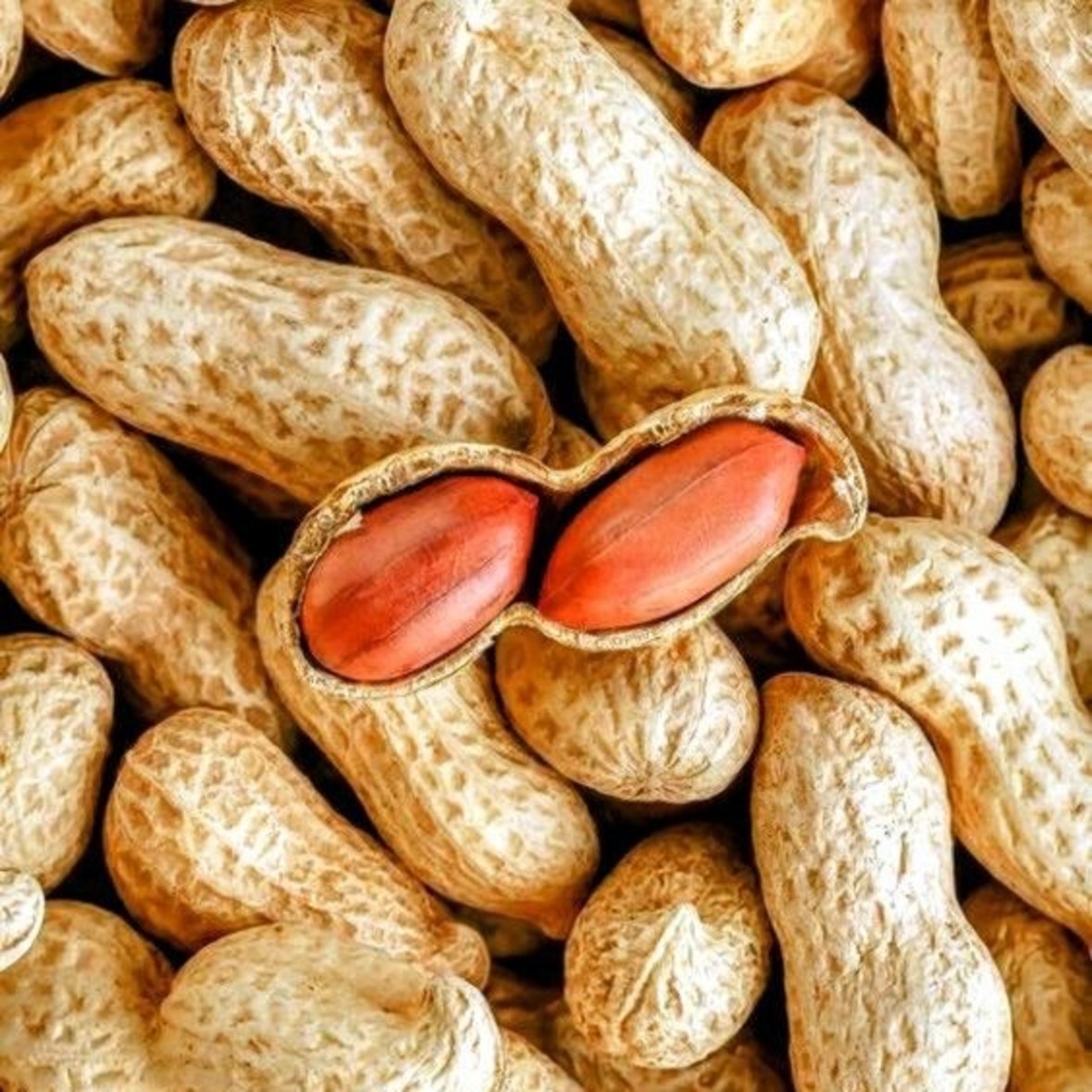 Peanuts